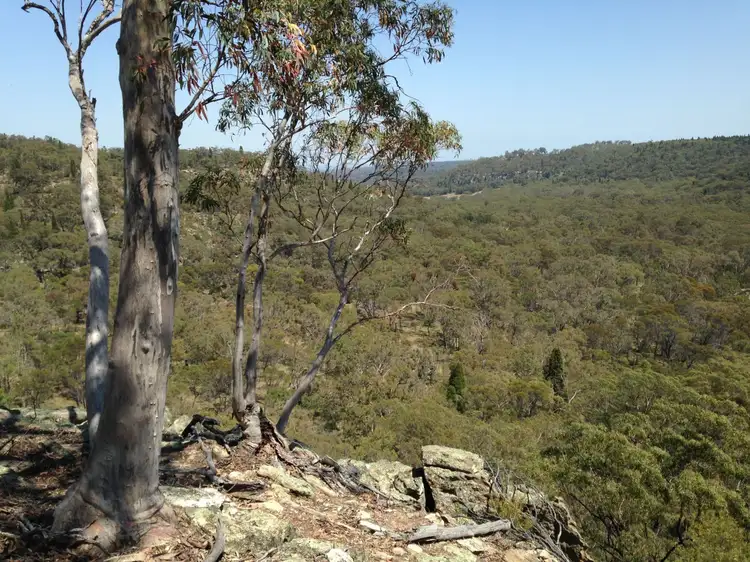 Third view of Homely rural property listing, Lot 22 Mount Hope Road, Coolah NSW 2843