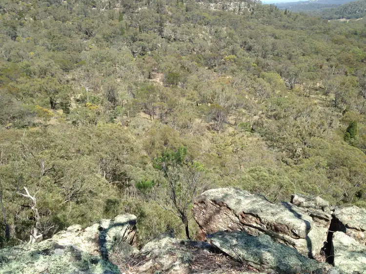 Fourth view of Homely rural property listing, Lot 22 Mount Hope Road, Coolah NSW 2843