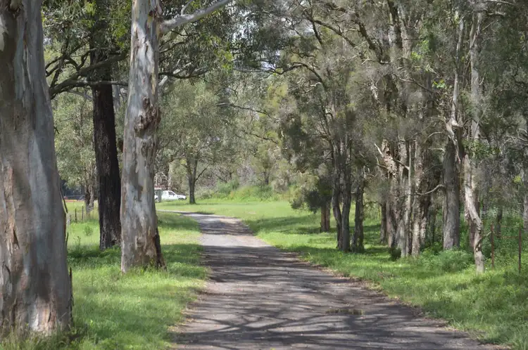 120 Pheasants Nest Road, Pheasants Nest NSW 2574