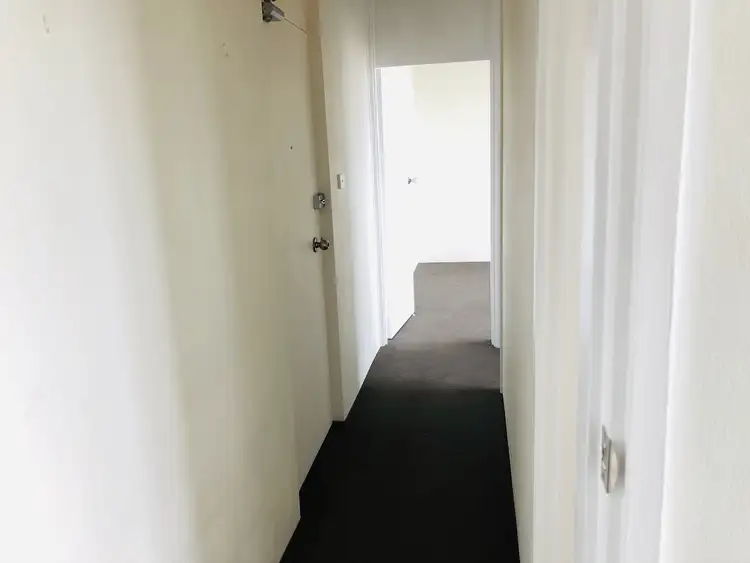 Fourth view of Homely apartment listing, 5/241 Clovelly Road, Clovelly NSW 2031