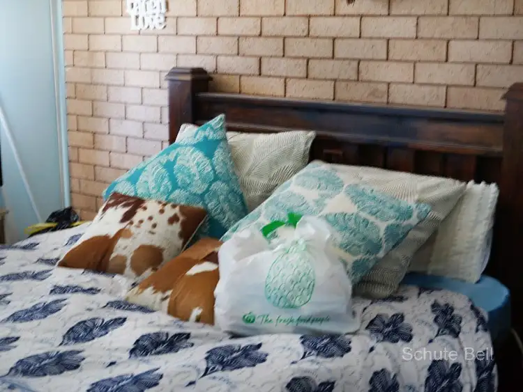 Fifth view of Homely block of units listing, Units 1 & 2/43 Sixth Ave, Narromine NSW 2821