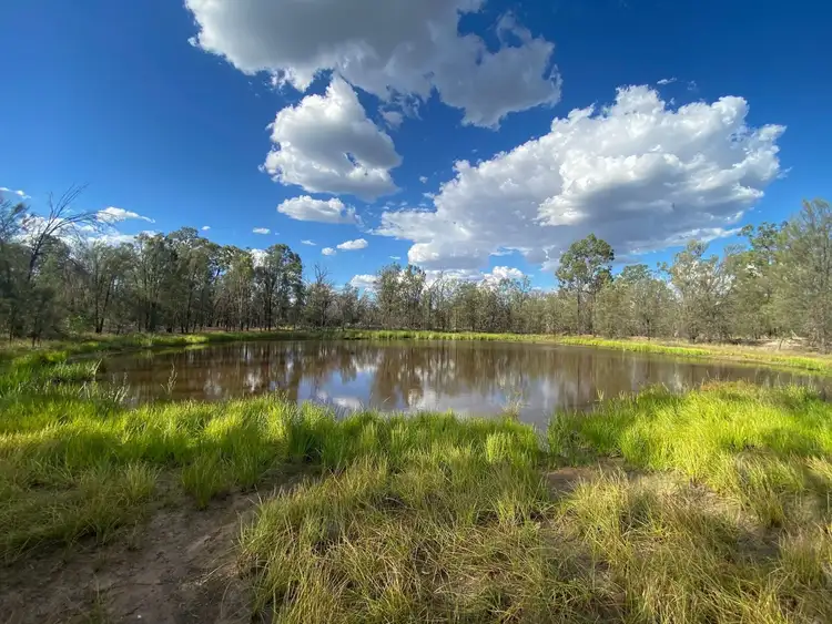 Sixth view of Homely rural property listing, Lot 45 Chinchilla Tara Road, Wieambilla QLD 4413