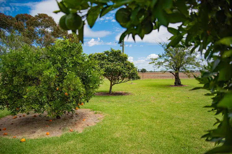 Sixth view of Homely rural property listing, DOONA/2989 Neilex Road, Neilrex NSW 2831