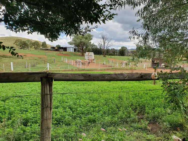 198 Jump Up Rd, Barraba NSW 2347