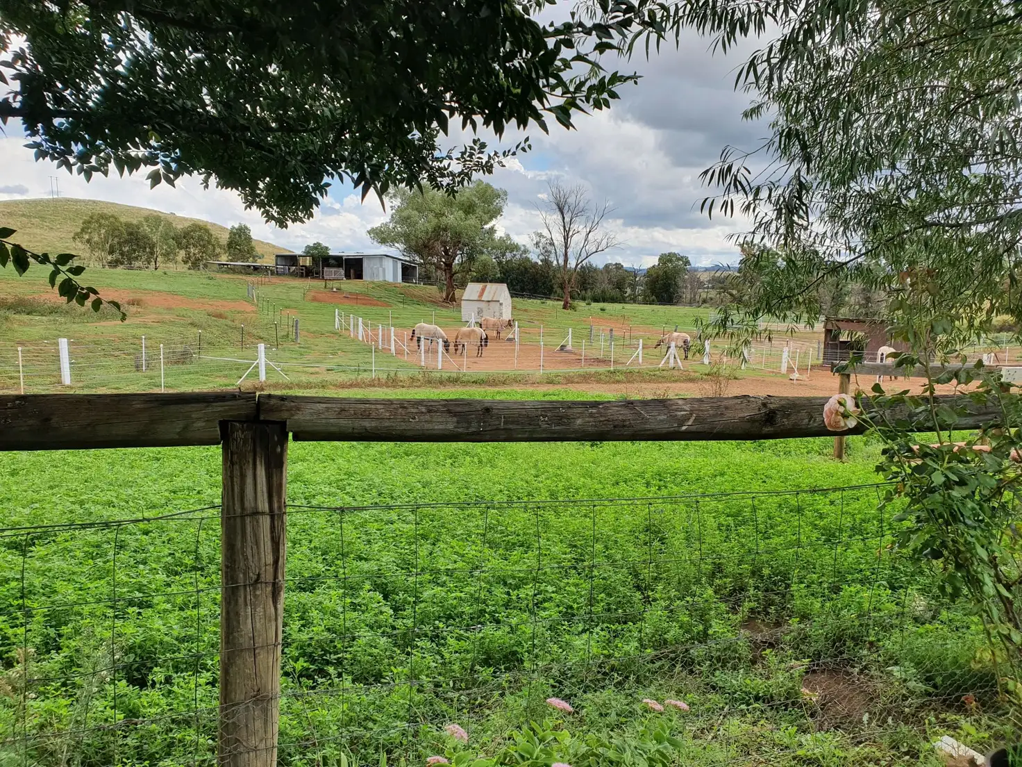 Main view of Homely rural property listing, 198 Jump Up Rd, Barraba NSW 2347