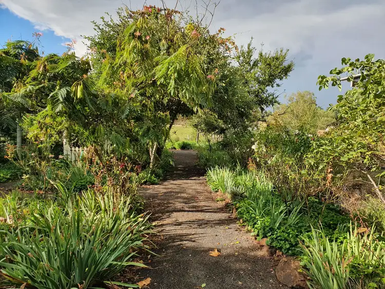 Fifth view of Homely rural property listing, 198 Jump Up Rd, Barraba NSW 2347