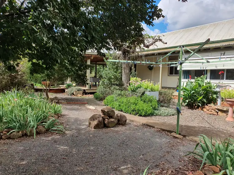 Seventh view of Homely rural property listing, 198 Jump Up Rd, Barraba NSW 2347