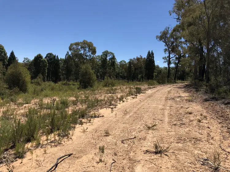 Second view of Homely rural property listing, 1825 Newell Hwy, Coonabarabran NSW 2357