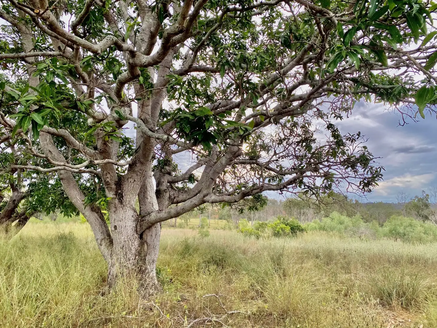 Main view of Homely land listing, LOT 4 Langtons Lane, Esk QLD 4312