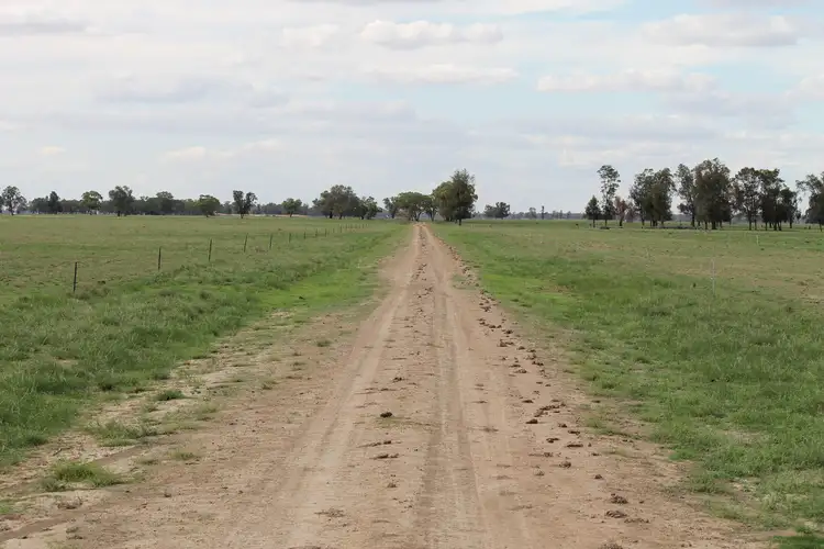 Third view of Homely rural property listing, Nerokewa/79 Reakes Road, Condobolin NSW 2877