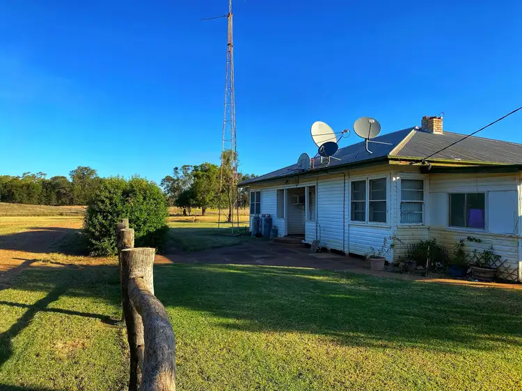 Fifth view of Homely rural property listing, Nerokewa/79 Reakes Road, Condobolin NSW 2877
