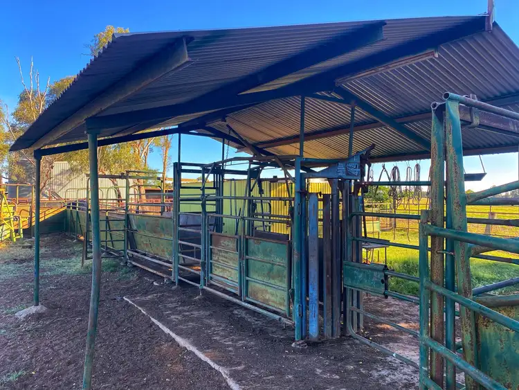 Sixth view of Homely rural property listing, Nerokewa/79 Reakes Road, Condobolin NSW 2877