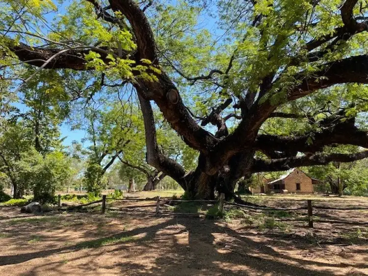Fifth view of Homely rural property listing, 281 Shadforth Road, Cossack, Katherine NT 850