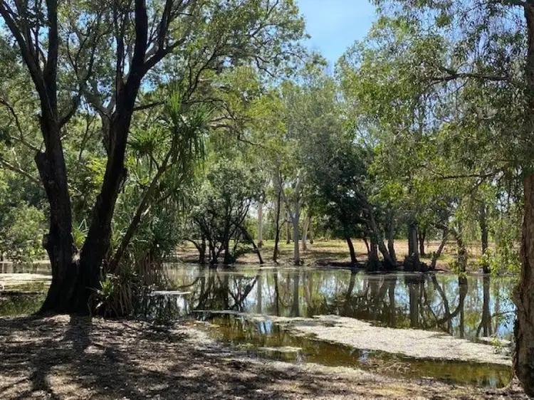 Sixth view of Homely rural property listing, 281 Shadforth Road, Cossack, Katherine NT 850