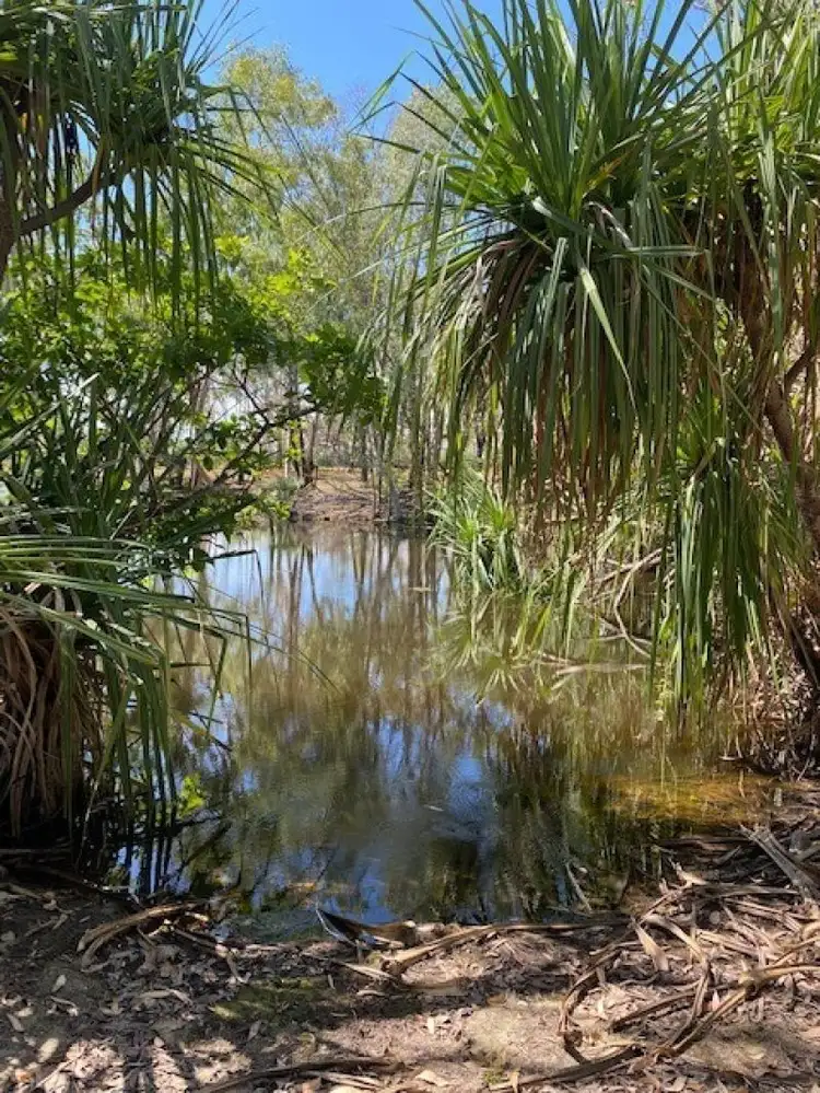 Seventh view of Homely rural property listing, 281 Shadforth Road, Cossack, Katherine NT 850