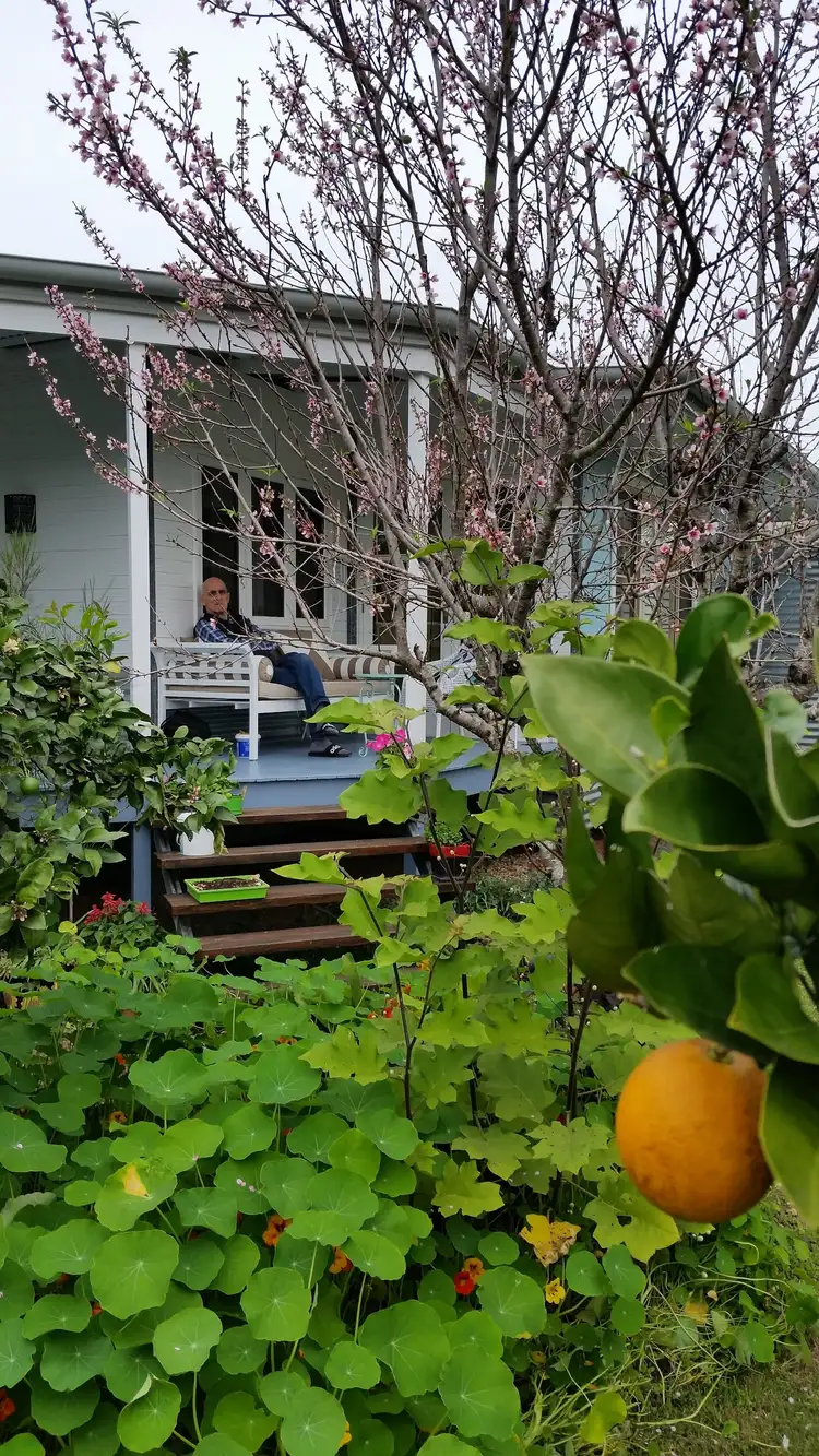 Second view of Homely house listing, 12 Creek Way, Currumbin Valley QLD 4223