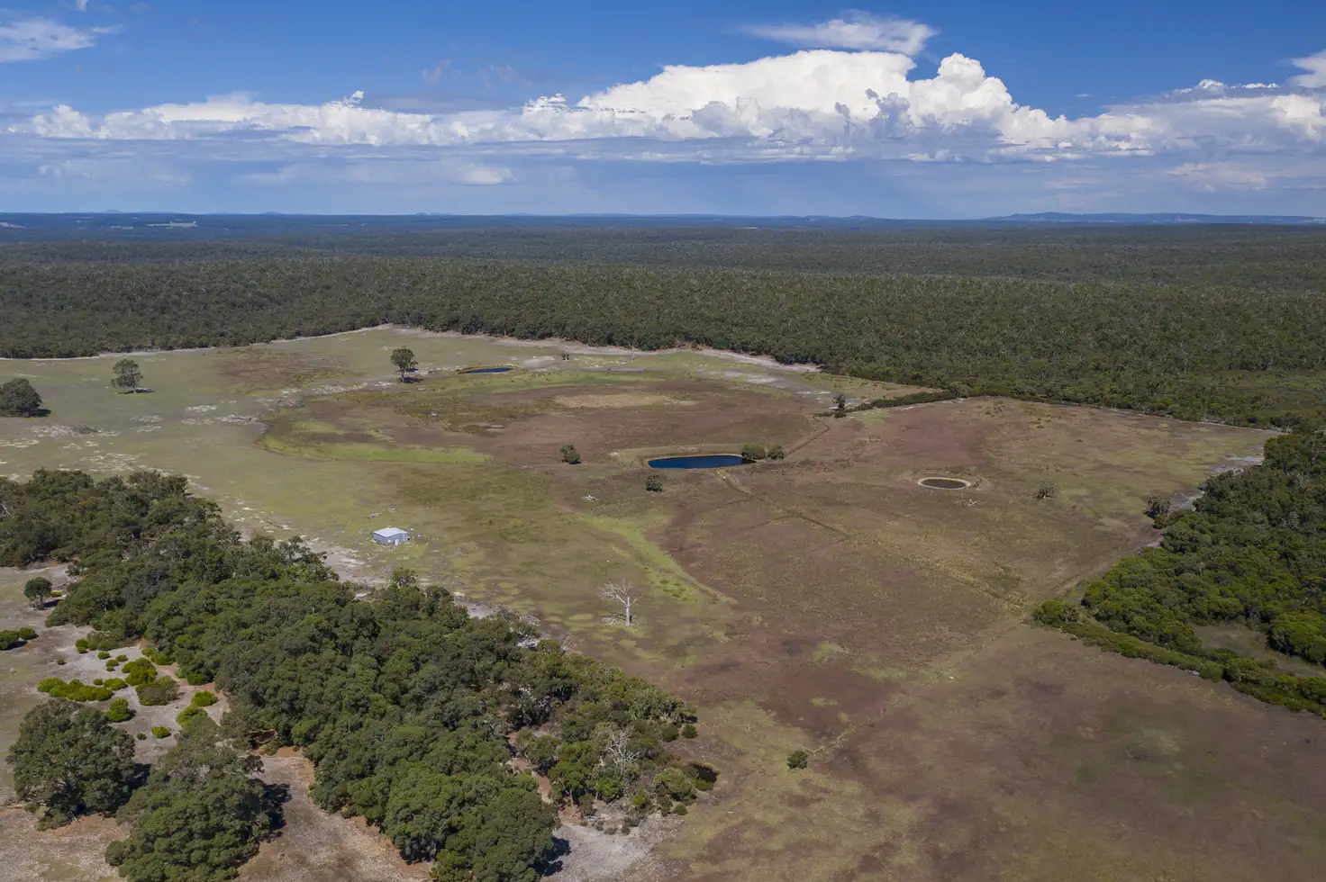 Main view of Homely rural property listing, 2144 Denmark-Mt Barker Road, Denmark WA 6333