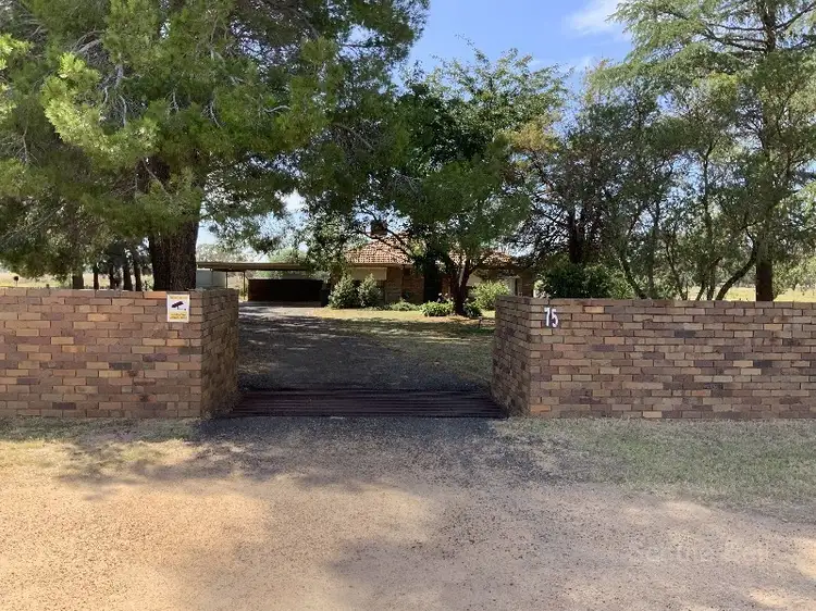 Second view of Homely rural property listing, 75 Wingfield Rd, Narromine NSW 2821