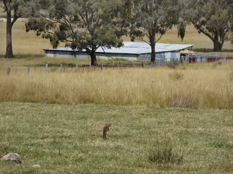 Sixth view of Homely rural property listing, Address available on request