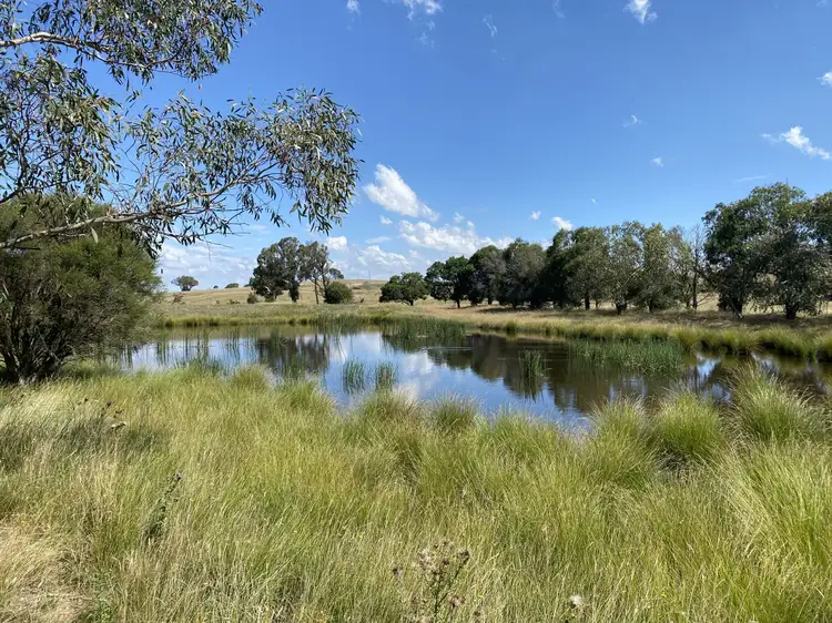 173 Pegasus Lane, Bungonia NSW 2580