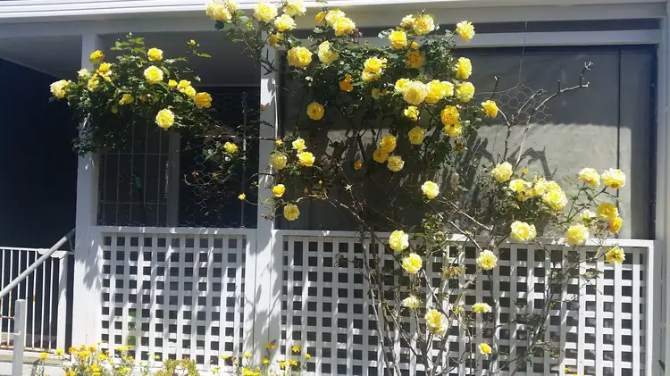 Second view of Homely house listing, 8 O'Brien Crescent, Mcloughlins Beach VIC 3874