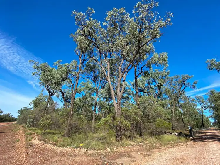 Second view of Homely rural property listing, Lot 13 Winfield Road, Tara QLD 4421