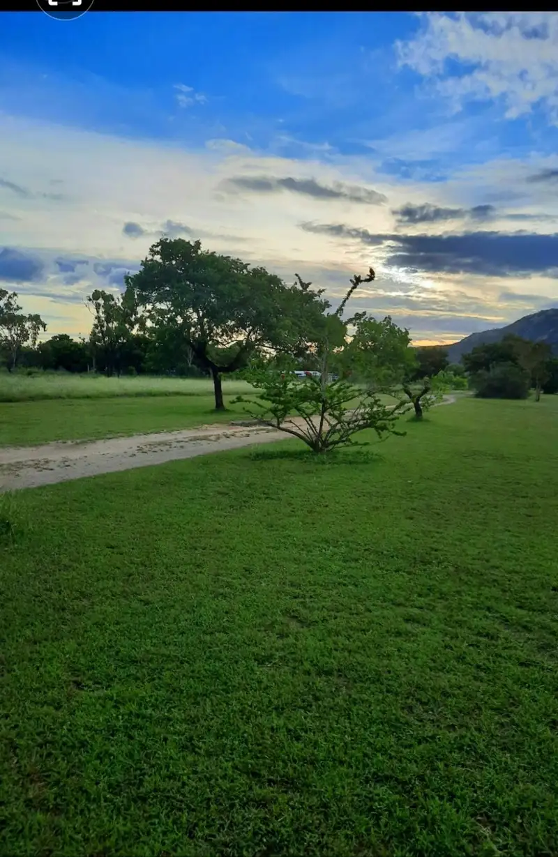 Main view of Homely rural property listing, 253 EAST EURI RD, Bowen QLD 4805