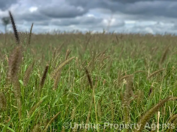 Second view of Homely rural property listing, Nine Mile Alpha Tambo Road, Alpha QLD 4724