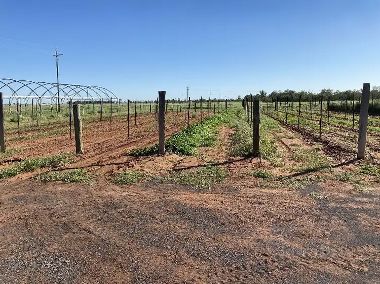 Second view of Homely rural property listing, 88 Macquarie St, Bourke NSW 2840