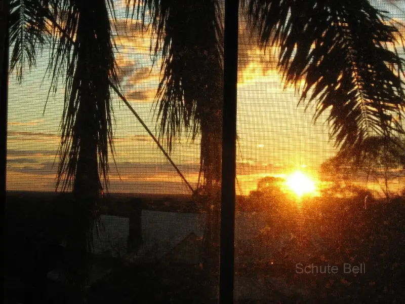 Main view of Homely house listing, 63 Euchie St, Peak Hill NSW 2869