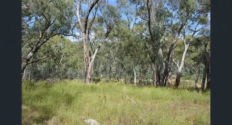 99 Lindsay Street, Hargraves NSW 2850