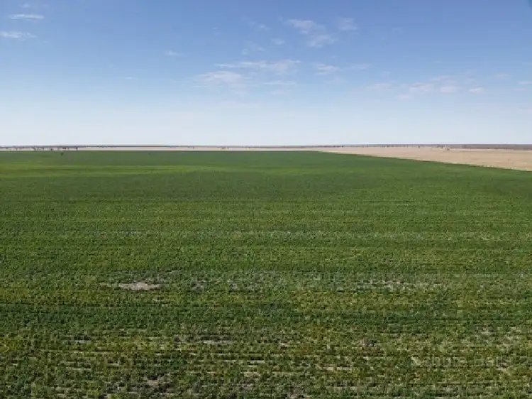 Third view of Homely rural property listing, . Yappalee, Brewarrina NSW 2839