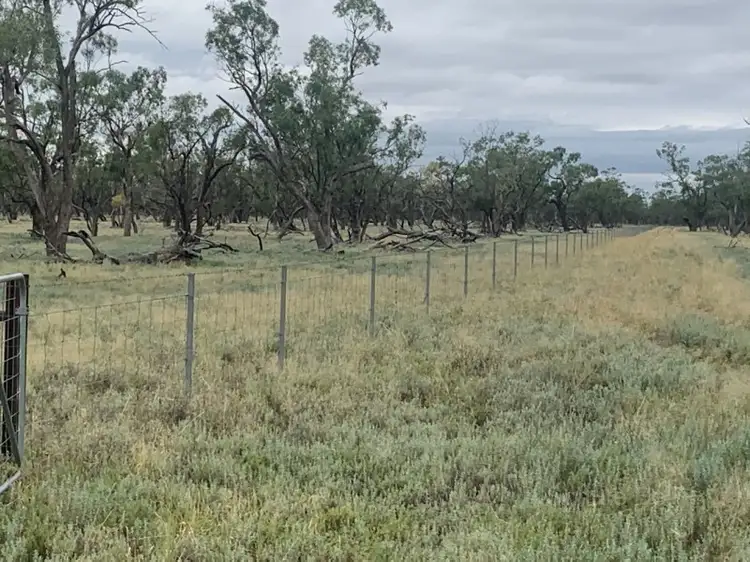 Fifth view of Homely rural property listing, . Yappalee, Brewarrina NSW 2839
