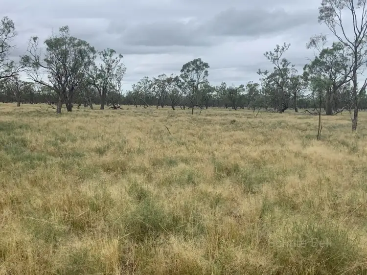 Sixth view of Homely rural property listing, . Yappalee, Brewarrina NSW 2839
