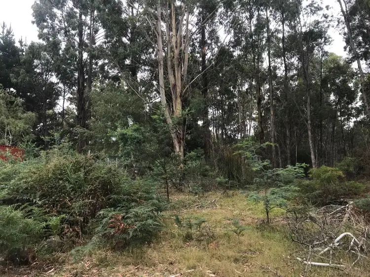 Sixth view of Homely rural property listing, 36 Wadleys Road, Reedy Marsh TAS 7304