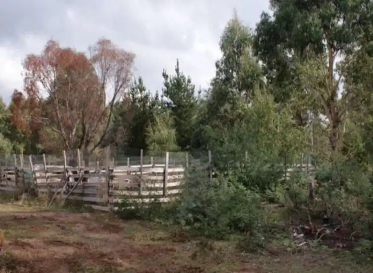 Seventh view of Homely rural property listing, 36 Wadleys Road, Reedy Marsh TAS 7304