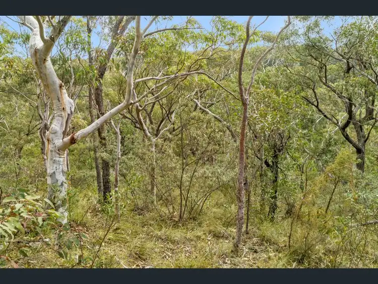 Second view of Homely land listing, 77-79 bullaburra rd, Bullaburra NSW 2784