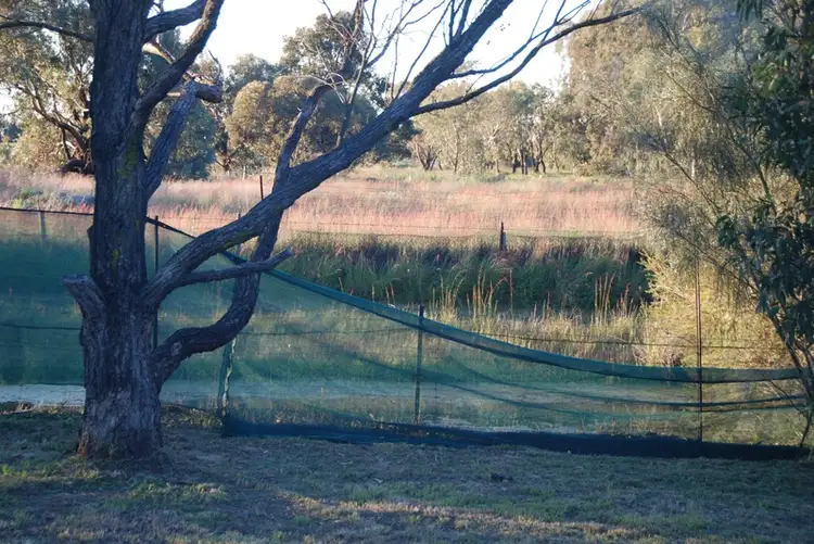 Third view of Homely house listing, 10 Whitehall Rd, Hazelmere WA 6055