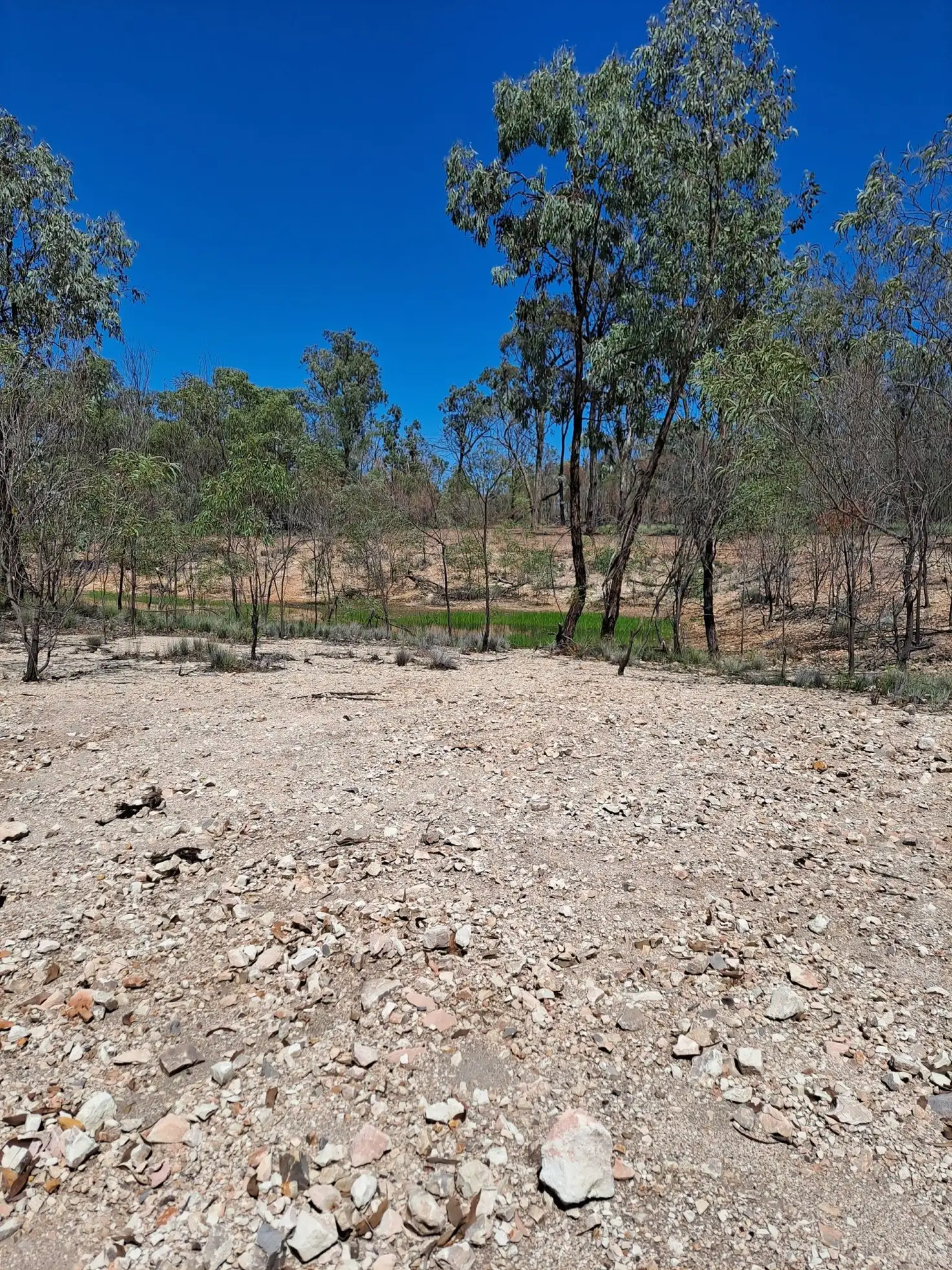 Main view of Homely rural property listing, 10 Bellbird Road, Tara QLD 4421