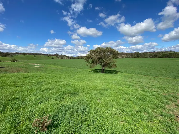 Sixth view of Homely rural property listing, Address available on request