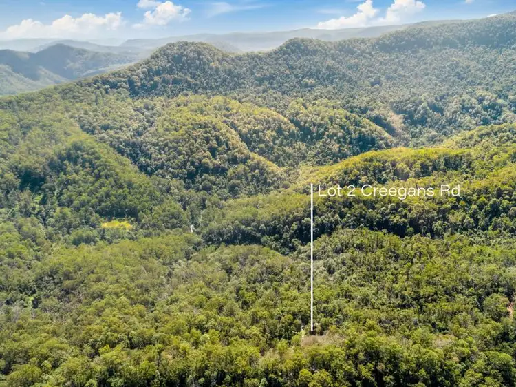 Fourth view of Homely rural property listing, 2 Creegans Road, Barkers Vale NSW 2474