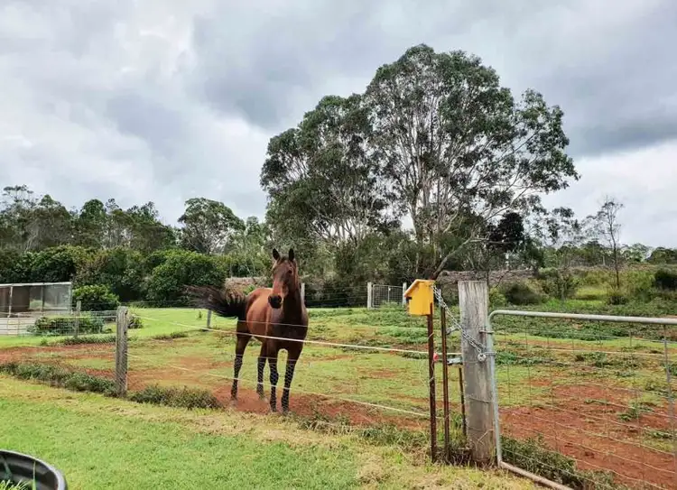 Second view of Homely rural property listing, 15 Merritts Creek Road, Pechey QLD 4352