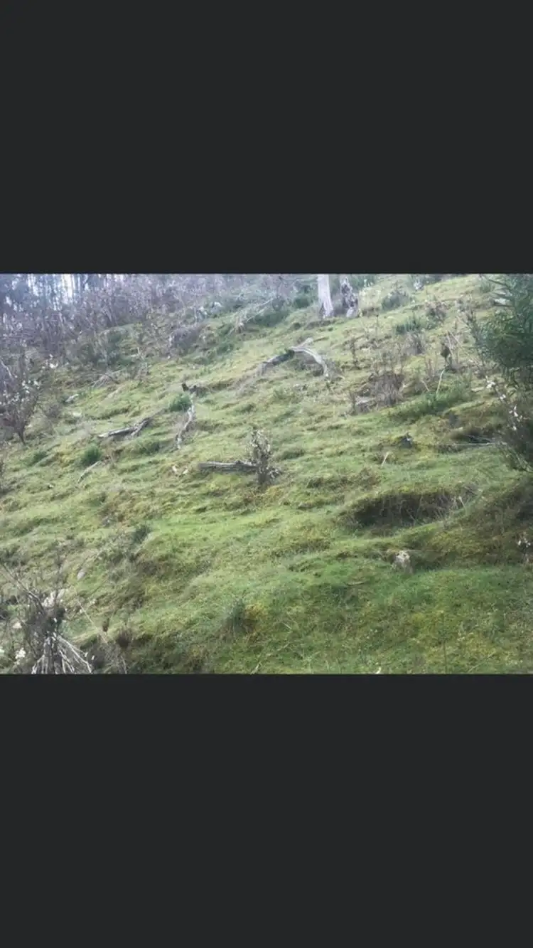 Seventh view of Homely rural property listing, Address available on request