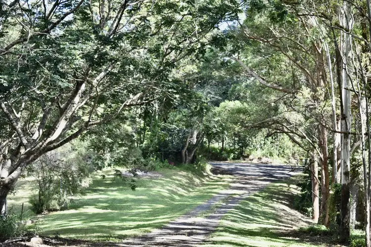 Seventh view of Homely rural property listing, 21 Stanfield Lane, Black Mountain QLD 4563