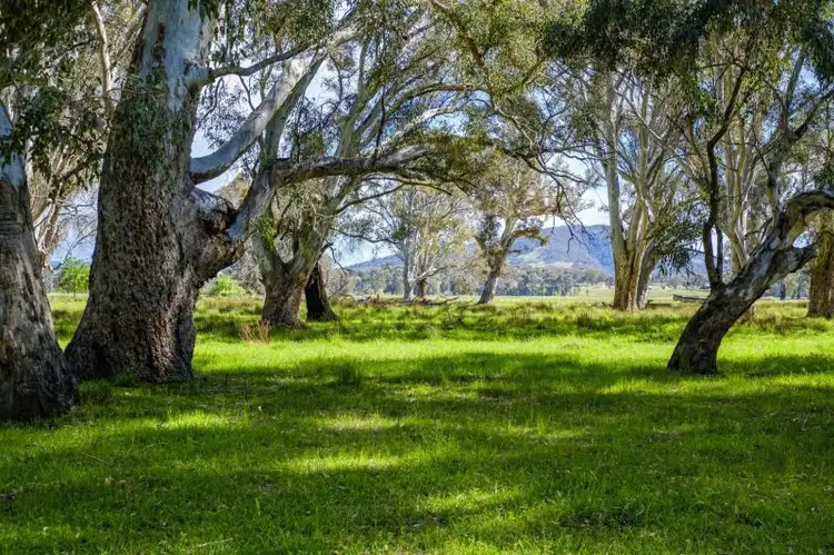 Second view of Homely rural property listing, 411 Whytes road, Baranduda VIC 3691