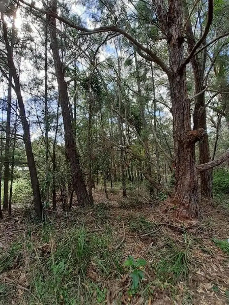 Fourth view of Homely land listing, 64 Aimeo Esplanade, Russell Island QLD 4184