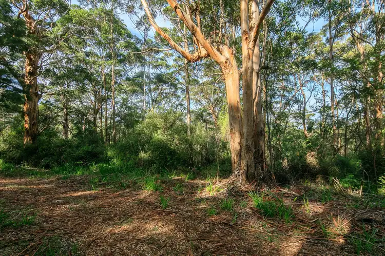 Second view of Homely land listing, 264 Lights Road, Denmark WA 6333