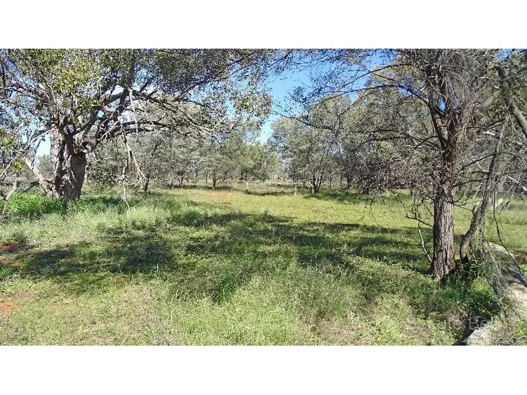 Seventh view of Homely rural property listing, Address available on request
