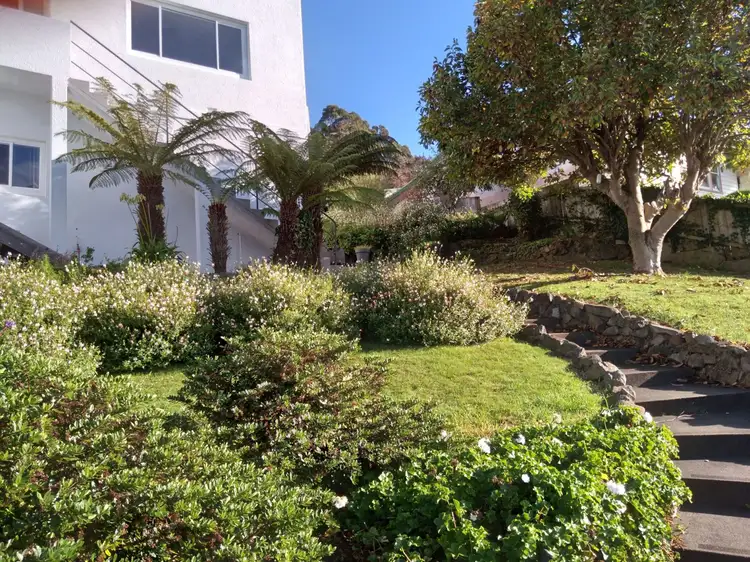 Third view of Homely house listing, 38 Studholme Street, South Burnie TAS 7320