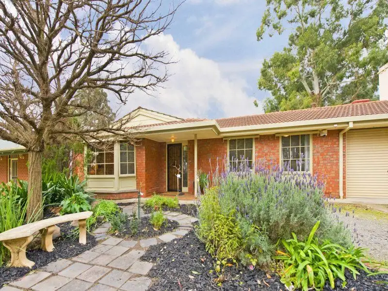 Main view of Homely house listing, 31 Hastings Rd, Colonel Light Gardens SA 5041